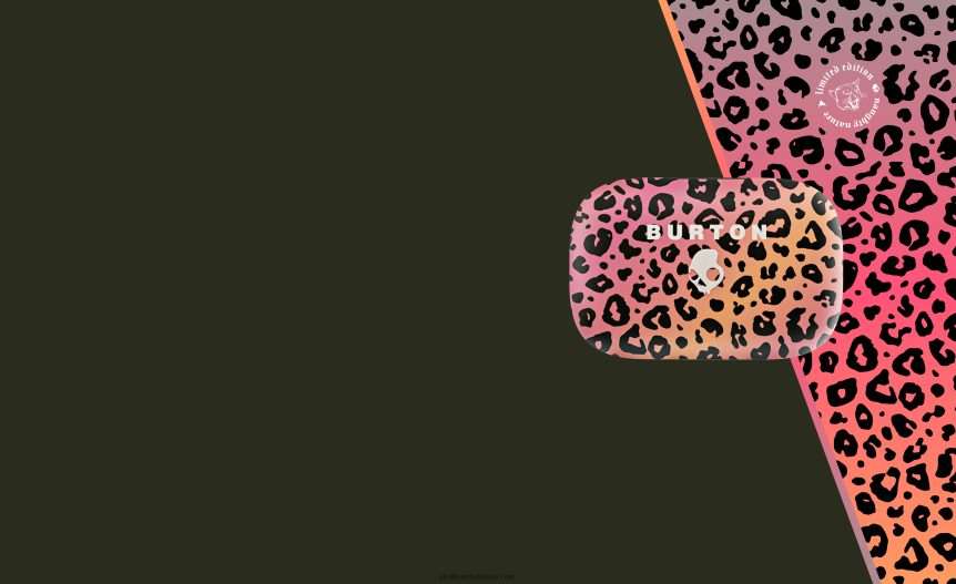 SKULLCANDY X BURTON Push Active True Wireless EarbudsNV80J42 Naughty Nature